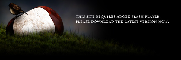 Get Adobe Flash player